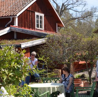 Föreläsning i trädgårdsmiljö, röd stuga och läkeörter